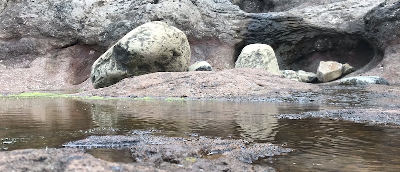 Hví praktisera mindfulness?